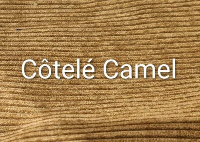 Côtelé Camel