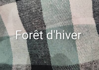 Forêt d'hiver